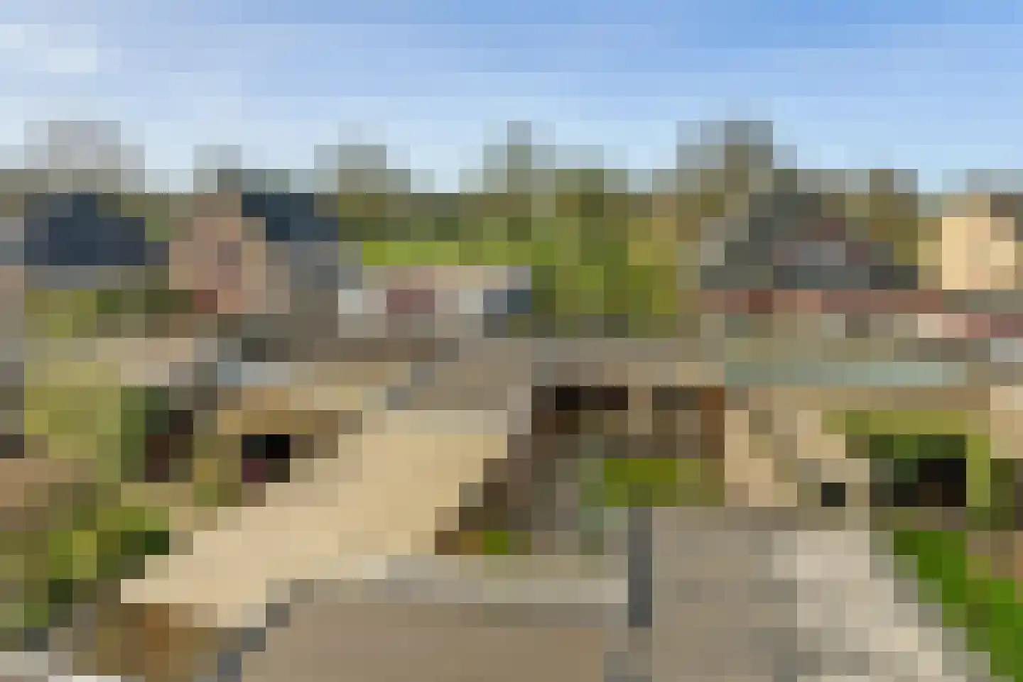 van Reedeweg 72 Renswoude thumbnail 36