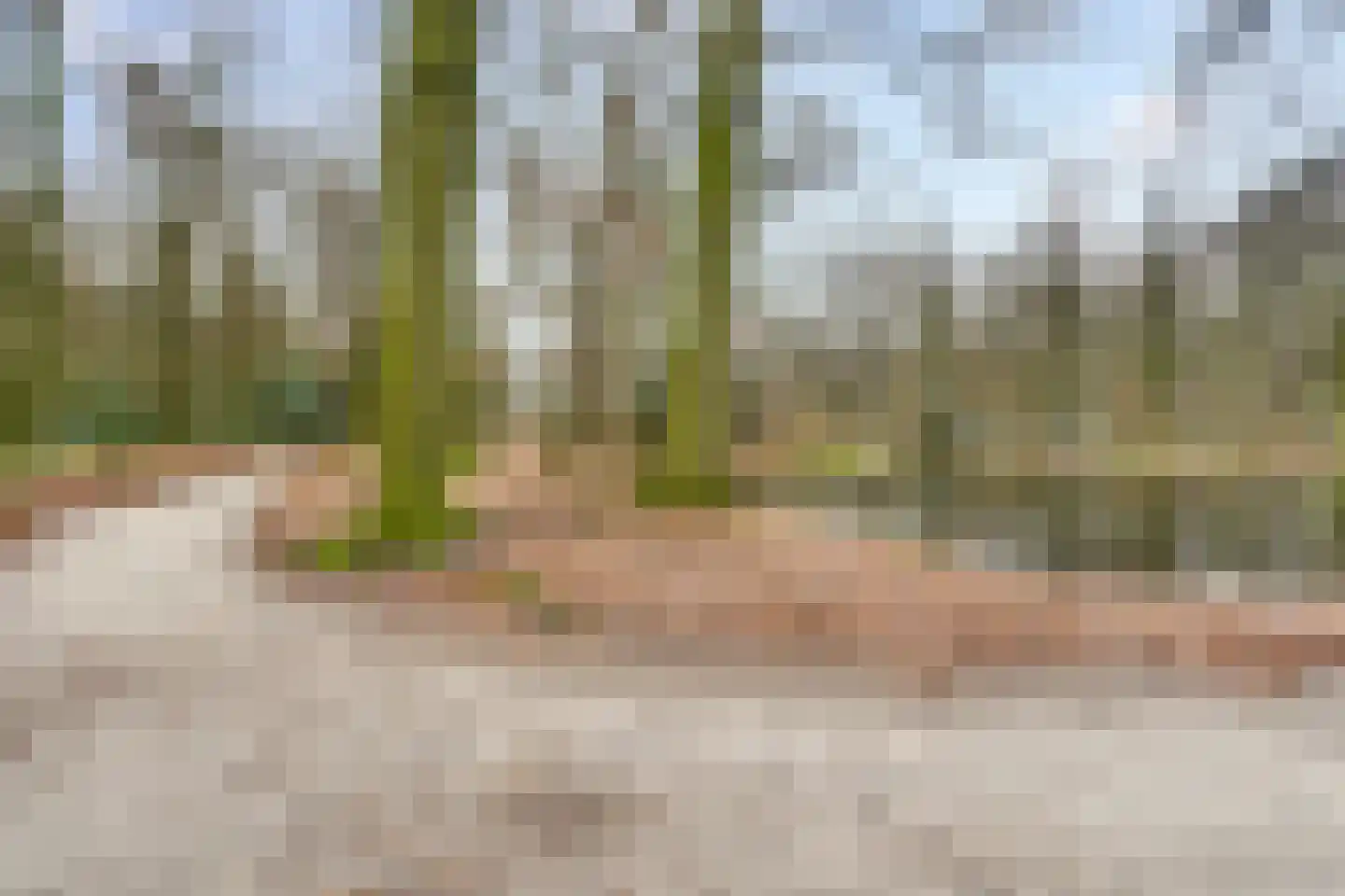 van Reedeweg 72 Renswoude thumbnail 37