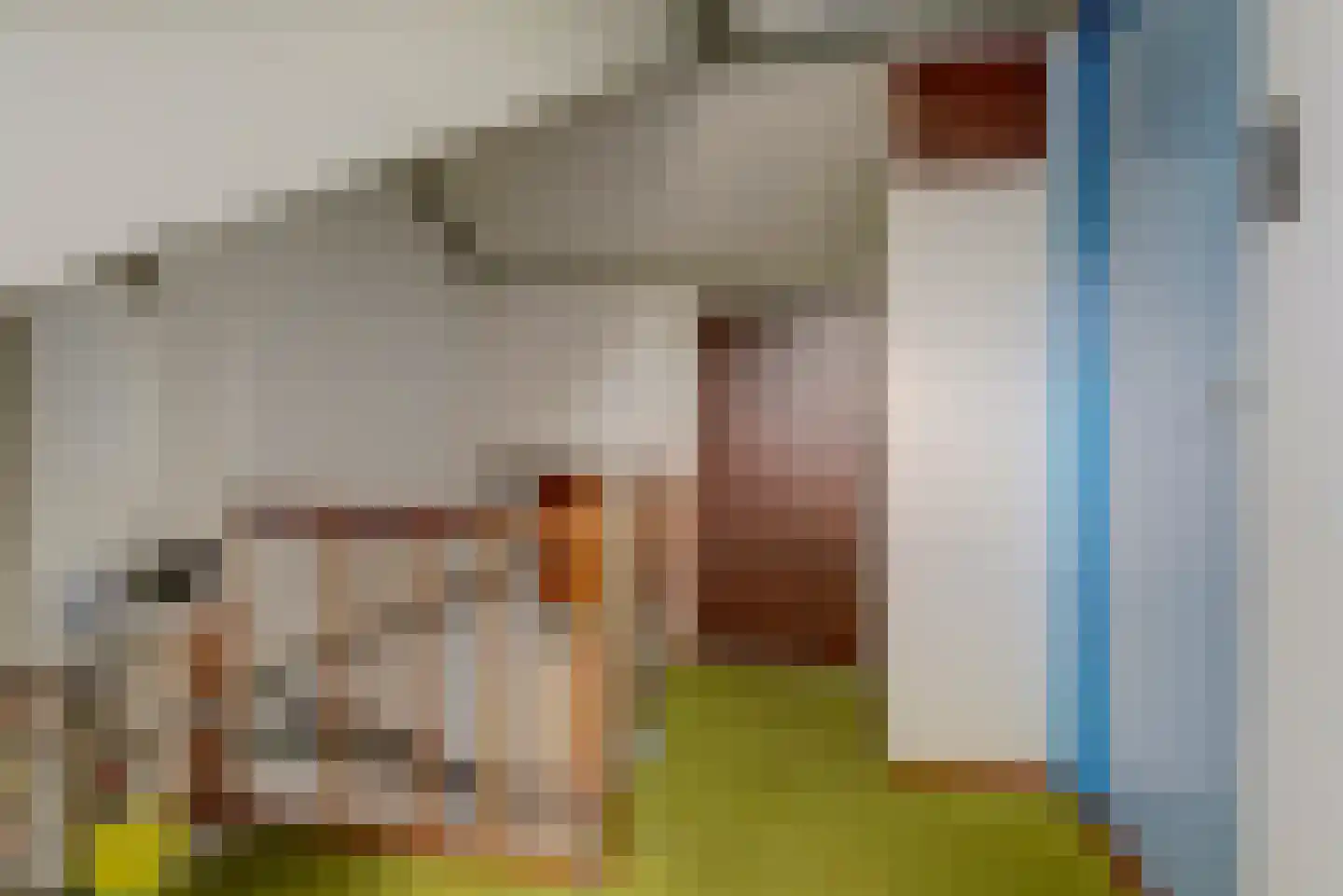 van Reedeweg 72 Renswoude thumbnail 42