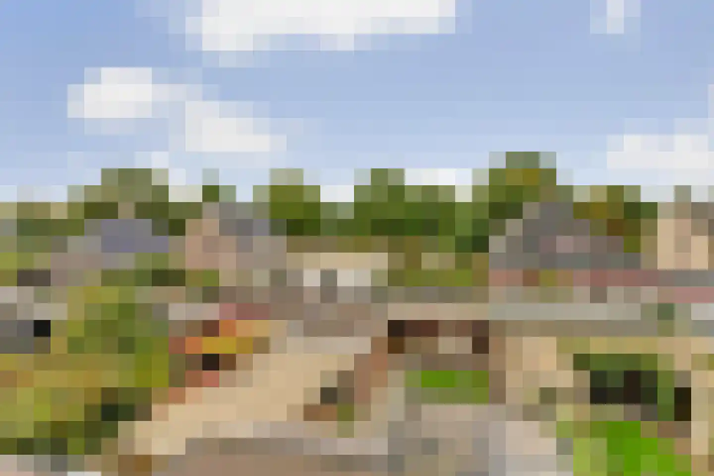 van Reedeweg 72 Renswoude thumbnail 43