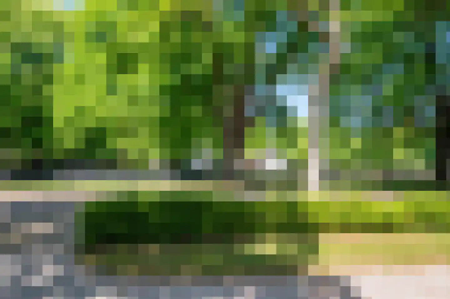 Van Reenenpark 14 Bergen (NH) thumbnail 38
