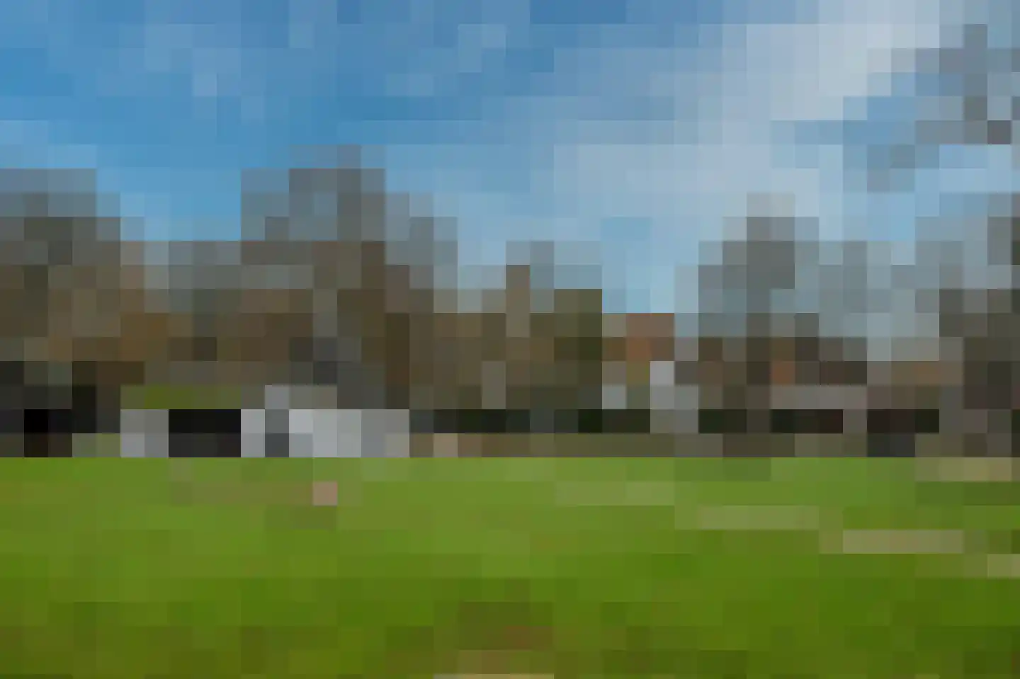 Van Reenenpark 14 Bergen (NH) thumbnail 39