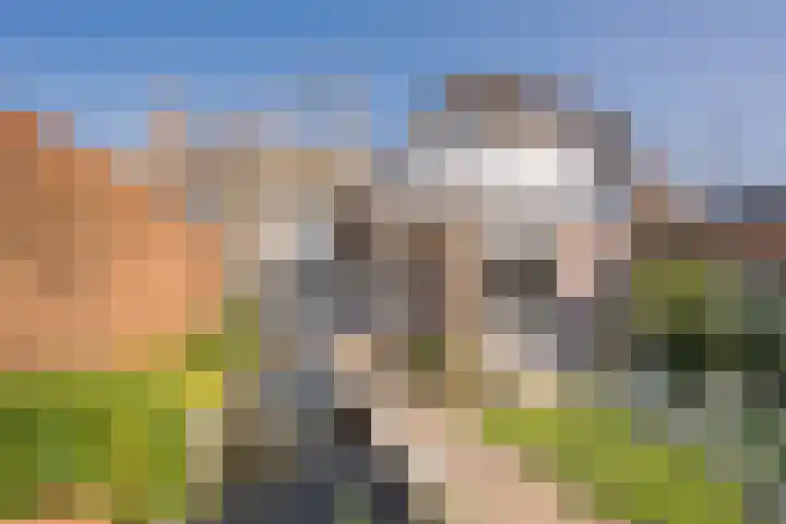 Van Reenenpark 15 Nijkerk thumbnail 43