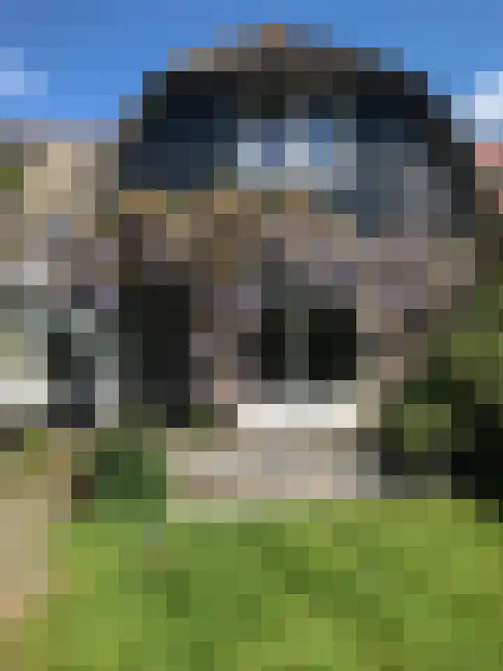 Van Reenenpark 15 Nijkerk thumbnail 45