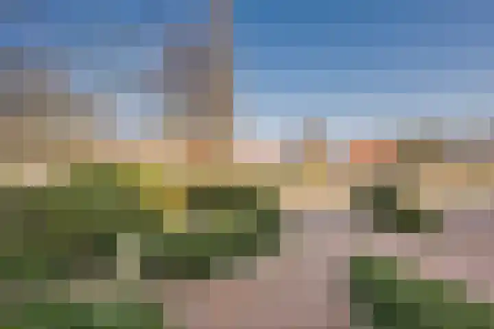 Van Reenenpark 15 Nijkerk thumbnail 53