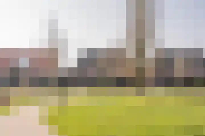 Van Reenenpark 15 Nijkerk thumbnail 54