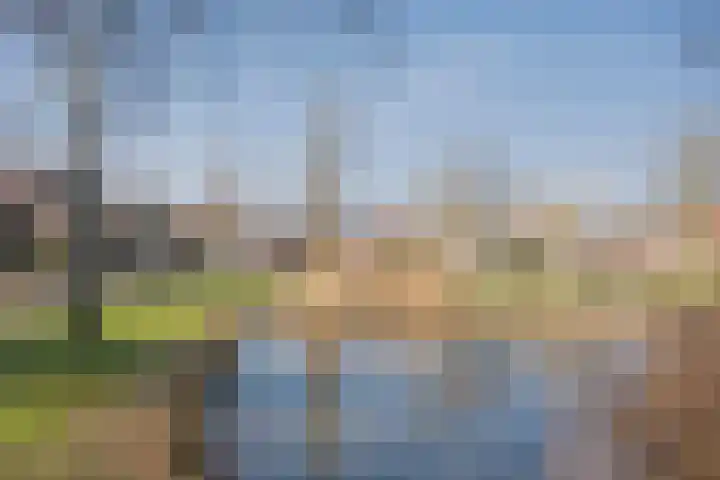 Van Reenenpark 15 Nijkerk thumbnail 56