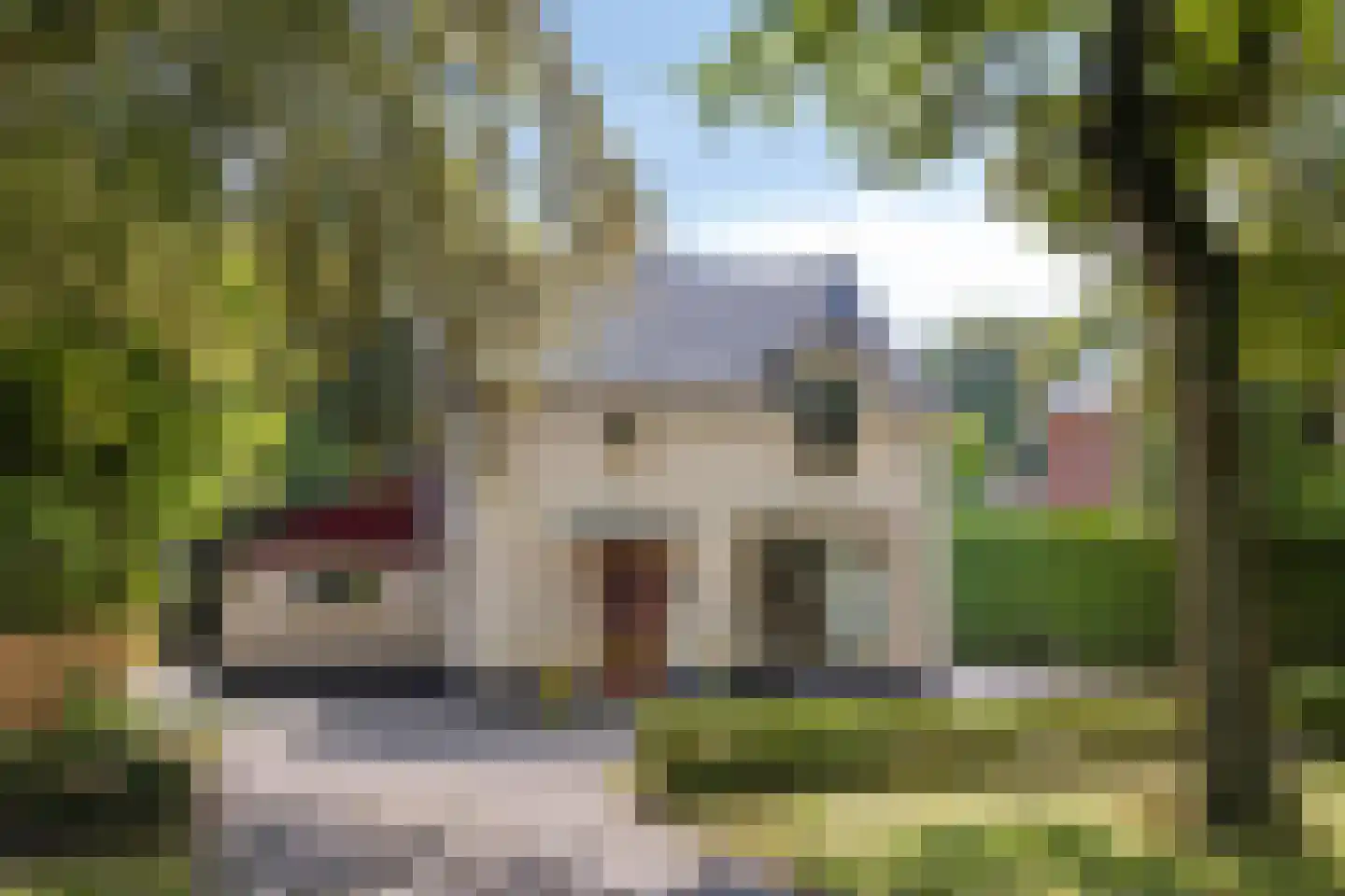 Van Reenenpark 25 Bergen (NH) thumbnail 4