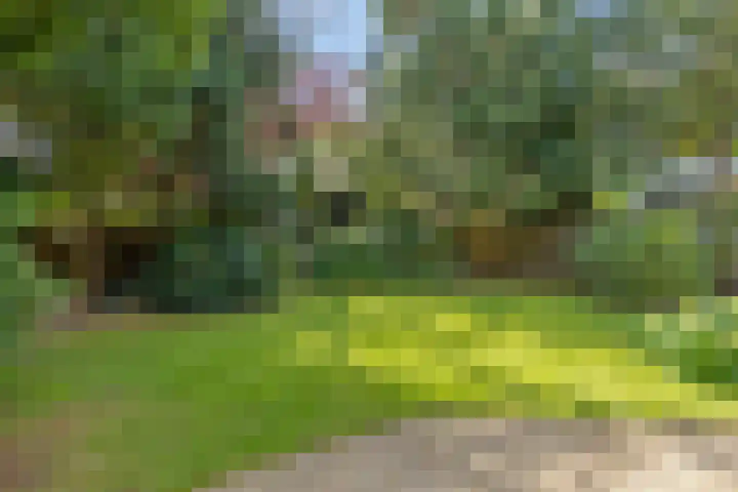 Van Reenenpark 25 Bergen (NH) thumbnail 40