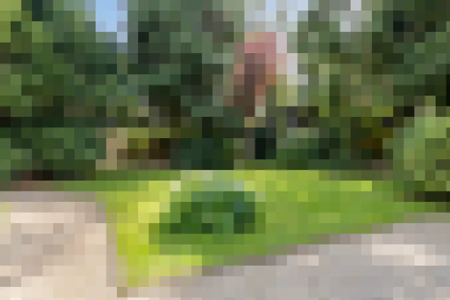 Van Reenenpark 25 Bergen (NH) thumbnail 41