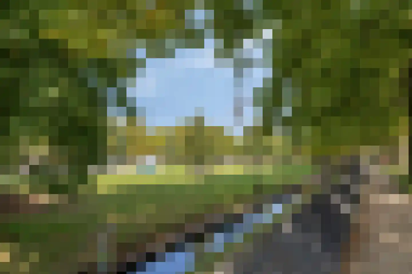 Van Reenenpark 25 Bergen (NH) thumbnail 52