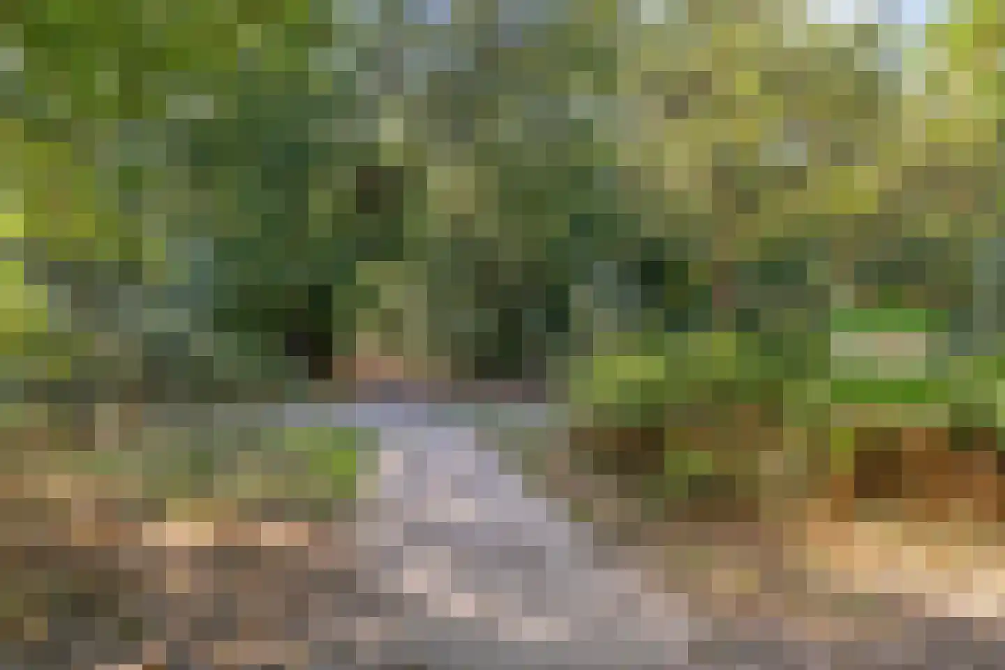 Van Reenenpark 25 Bergen (NH) thumbnail 54