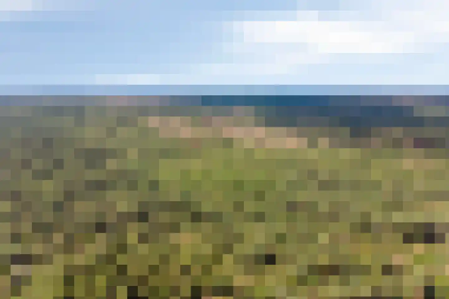 Van Reenenpark 25 Bergen (NH) thumbnail 55