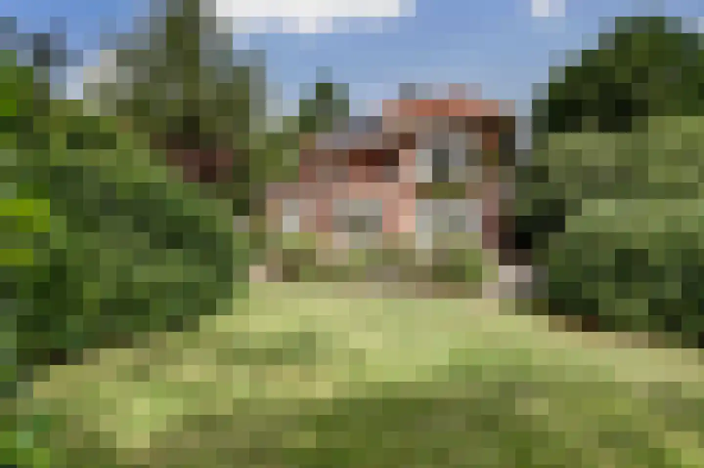 Van Reenenpark 5 Bergen (NH) thumbnail 60