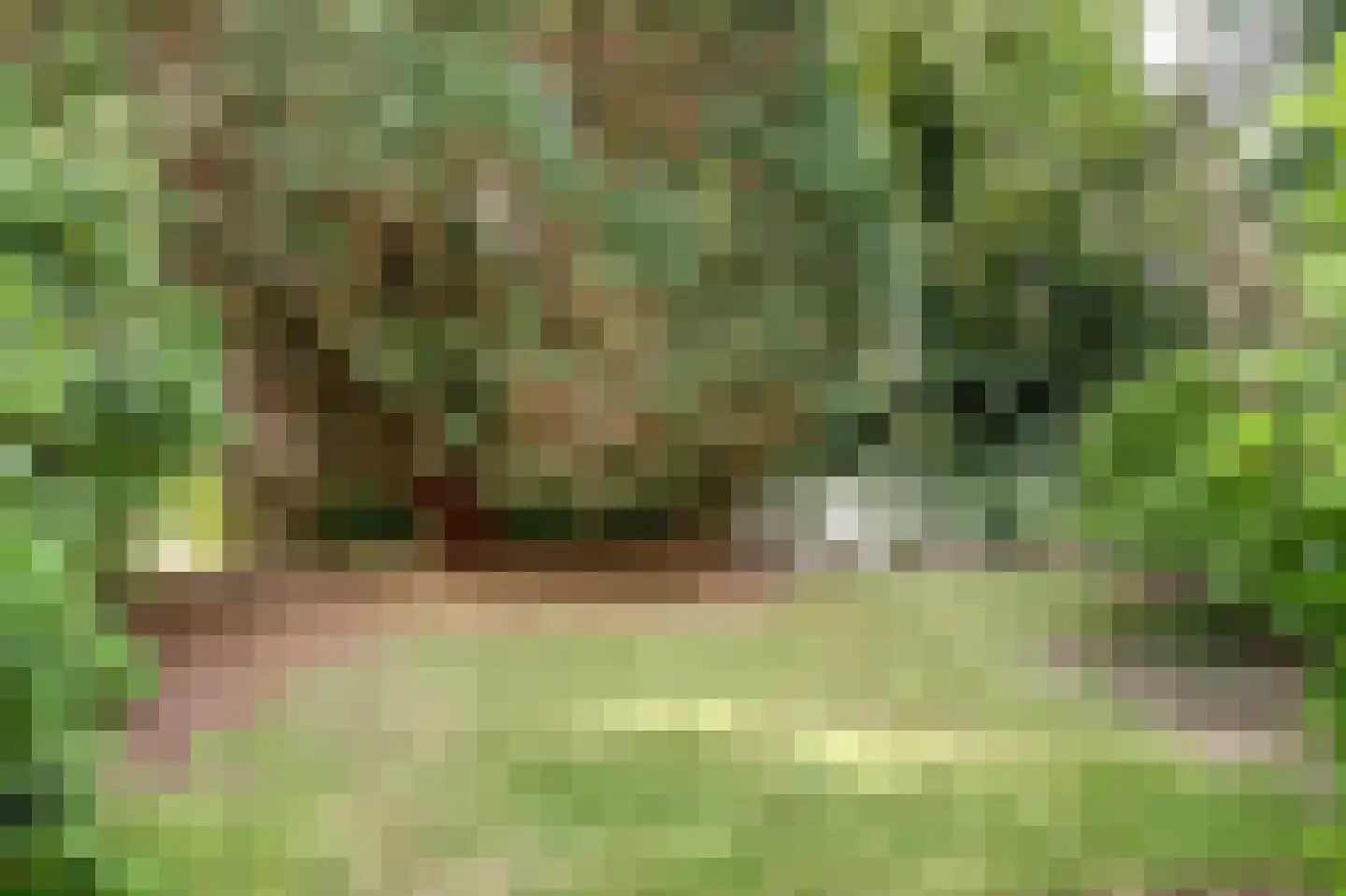 Van Reenenpark 5 Bergen (NH) thumbnail 64