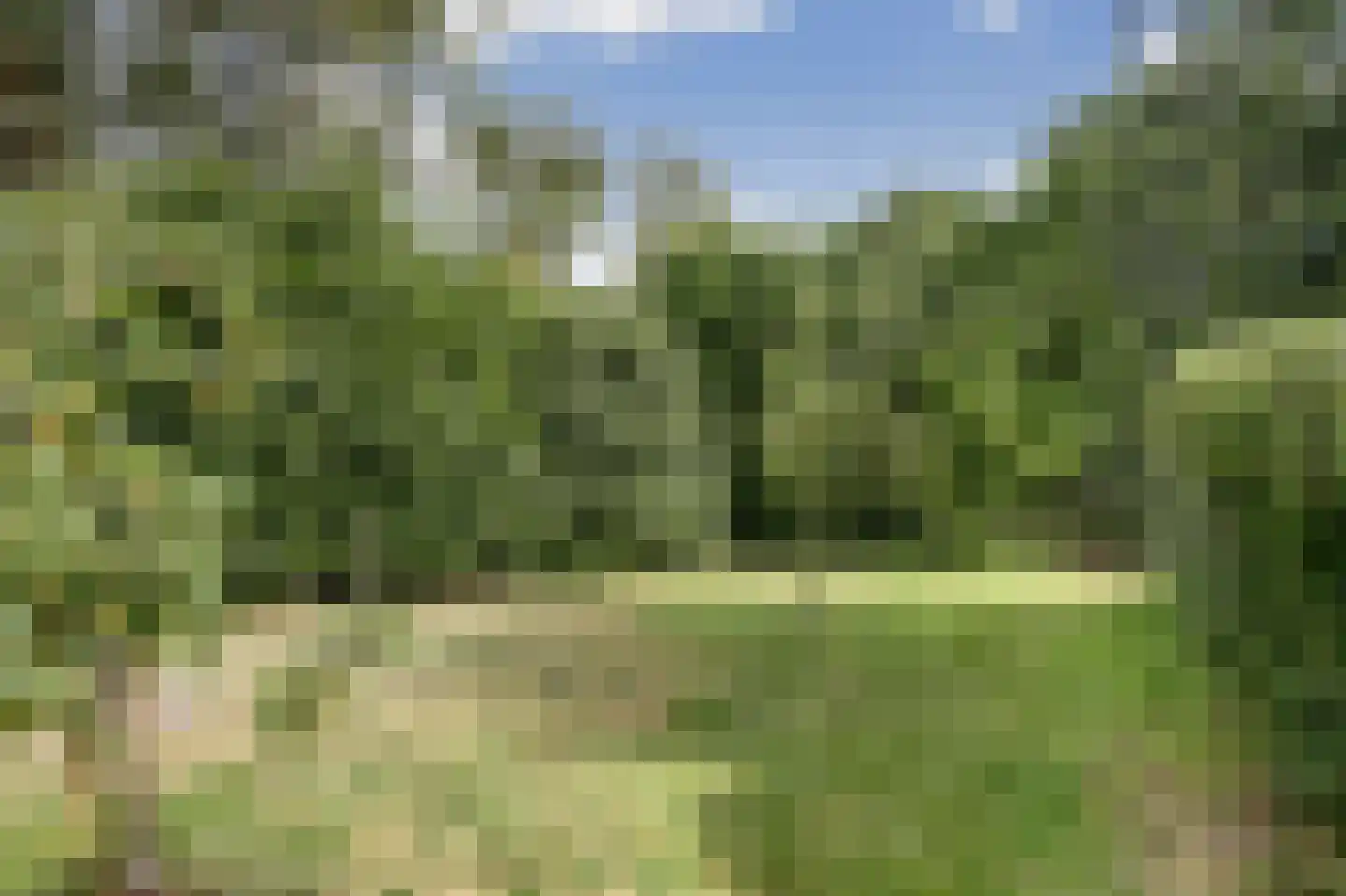 Van Reenenpark 5 Bergen (NH) thumbnail 66