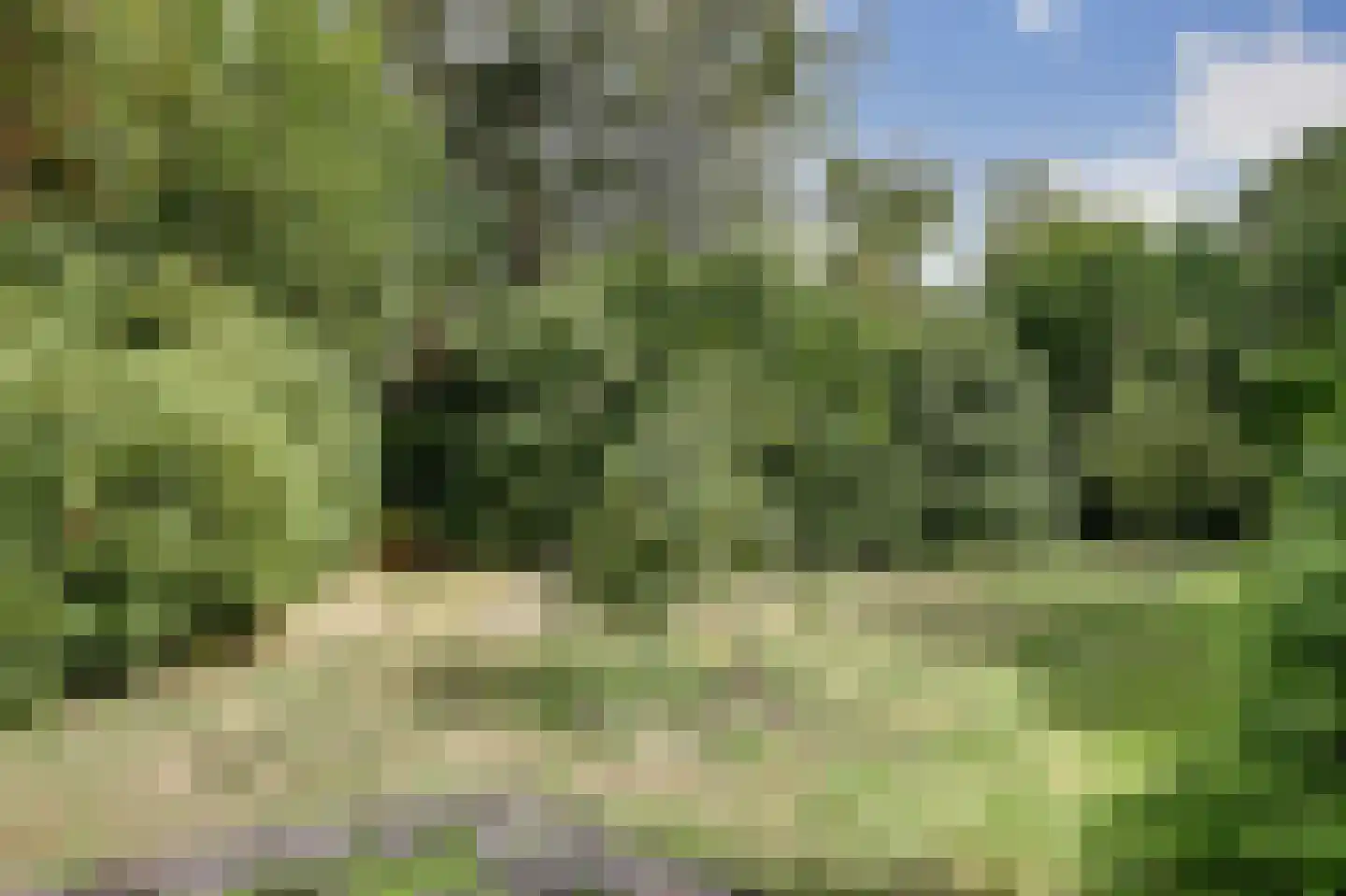 Van Reenenpark 5 Bergen (NH) thumbnail 67