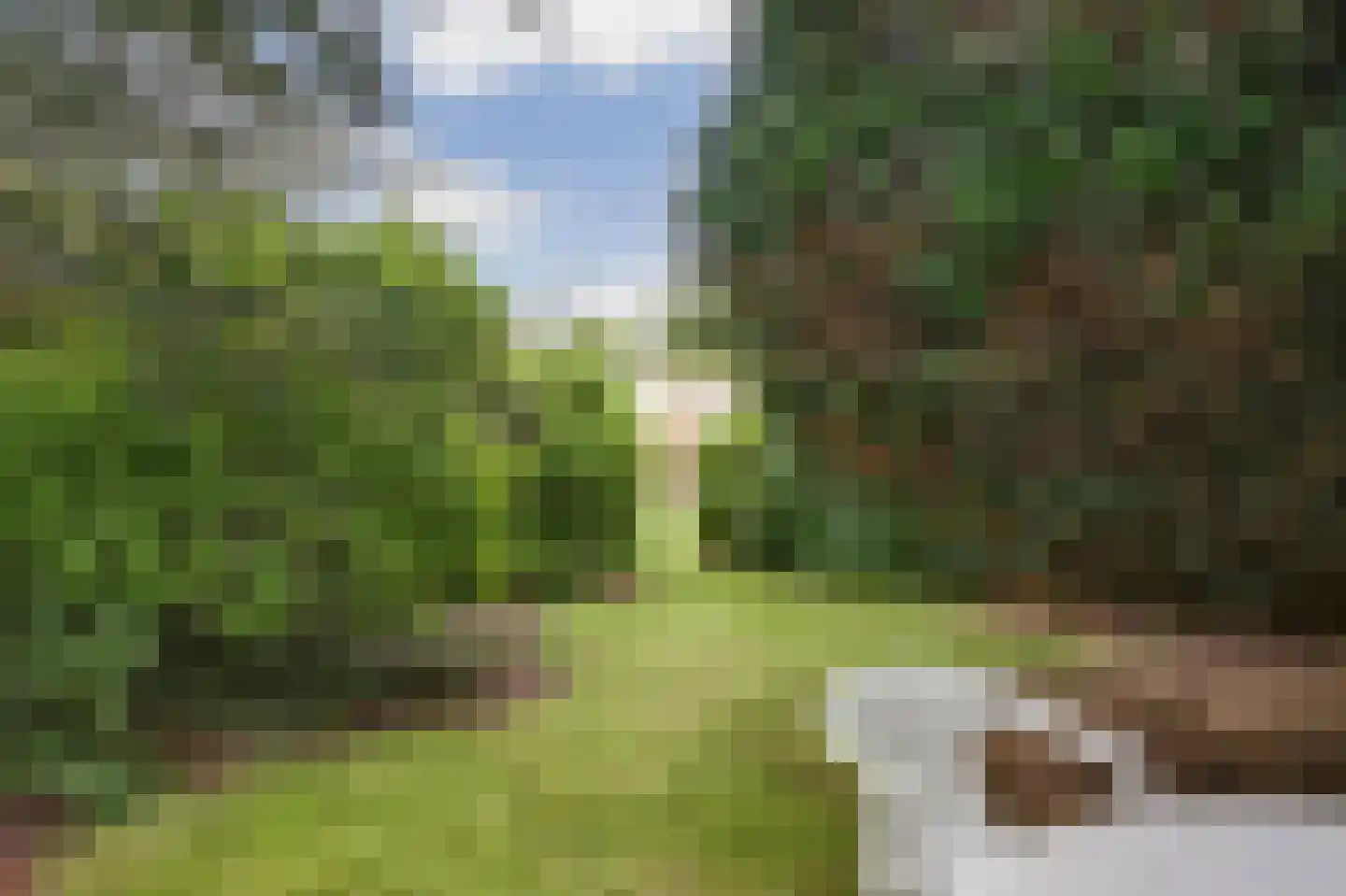 Van Reenenpark 5 Bergen (NH) thumbnail 68
