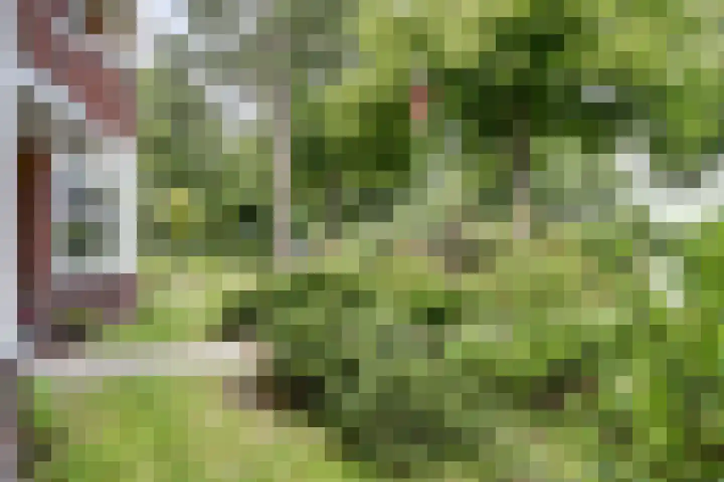 Van Reenenpark 5 Bergen (NH) thumbnail 8