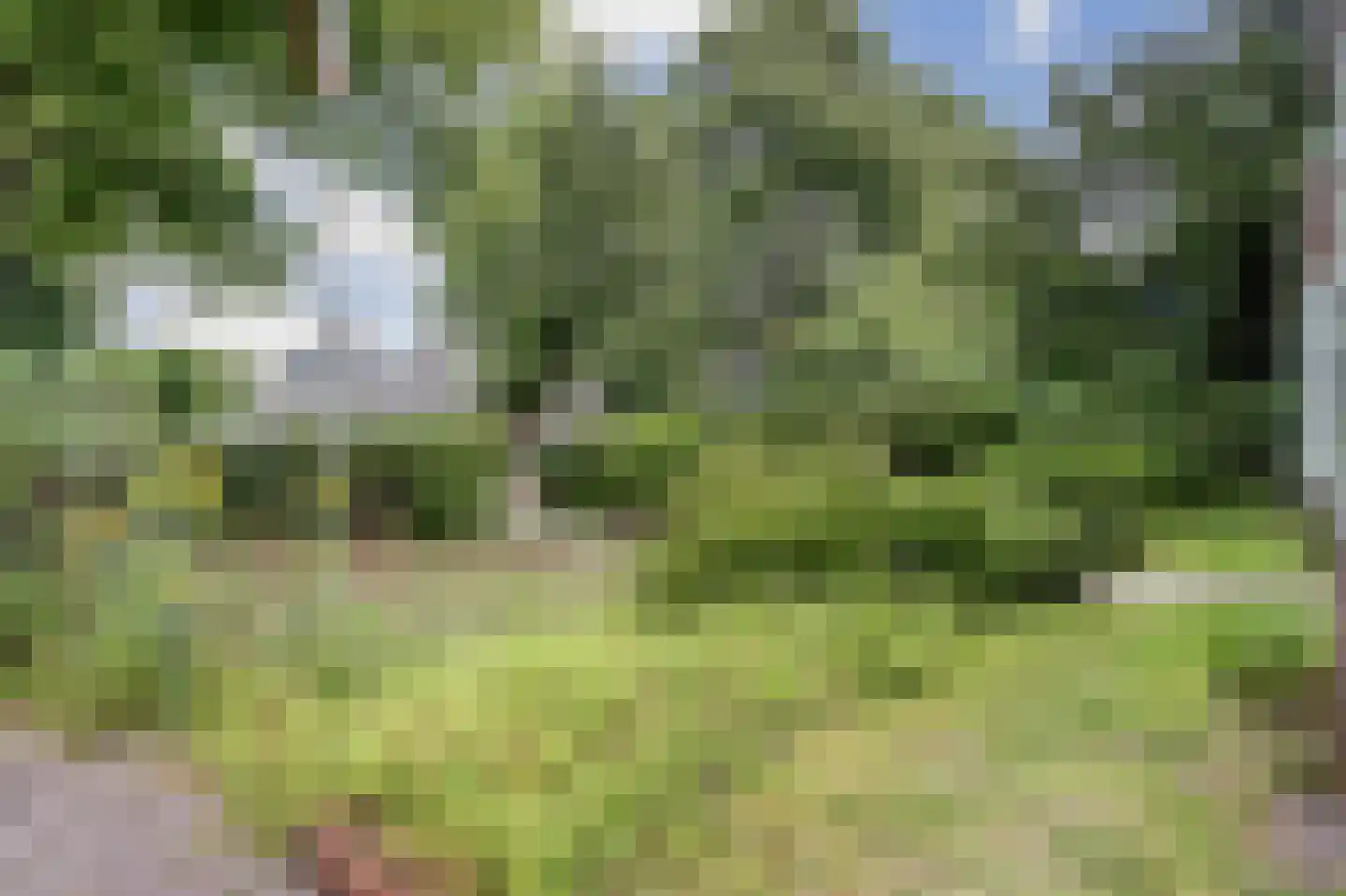 Van Reenenpark 5 Bergen (NH) thumbnail 9