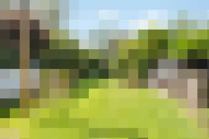 Van Reenenpark 5 Nijkerk thumbnail 31