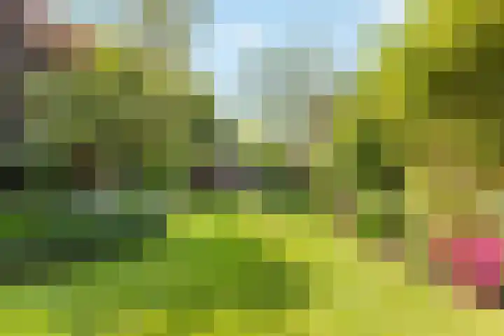 Van Reenenpark 5 Nijkerk thumbnail 32