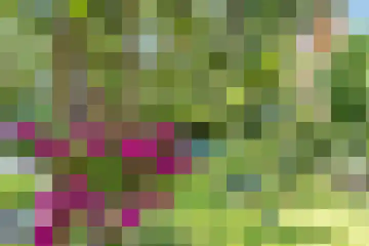 Van Reenenpark 5 Nijkerk thumbnail 33