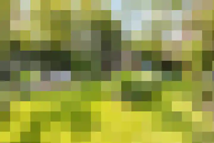 Van Reenenpark 5 Nijkerk thumbnail 34