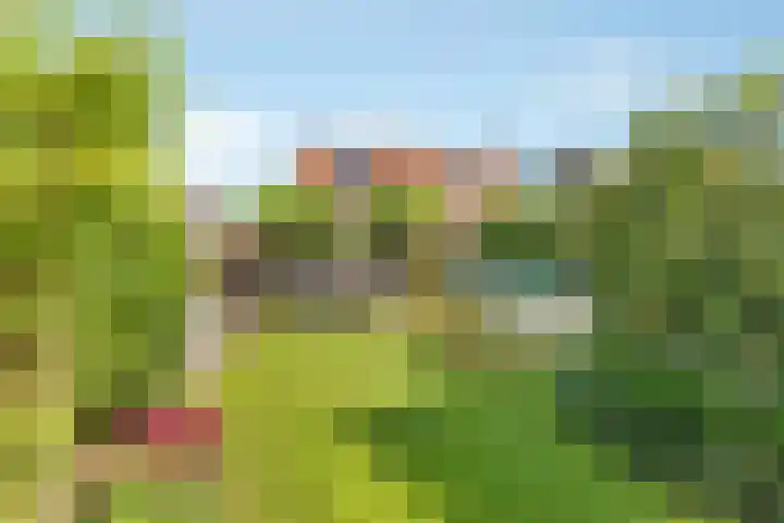 Van Reenenpark 5 Nijkerk thumbnail 35