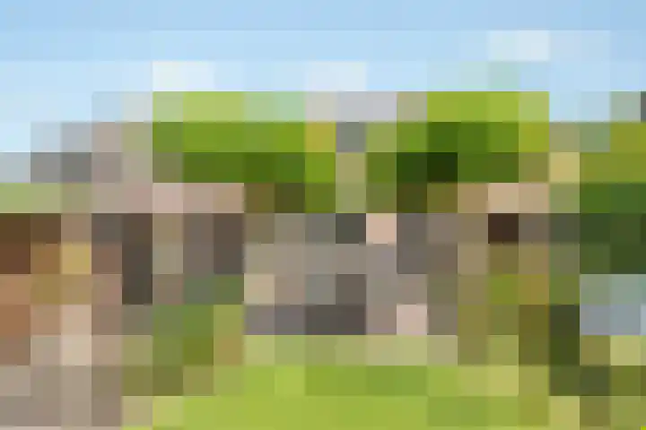 Van Reenenpark 5 Nijkerk thumbnail 36