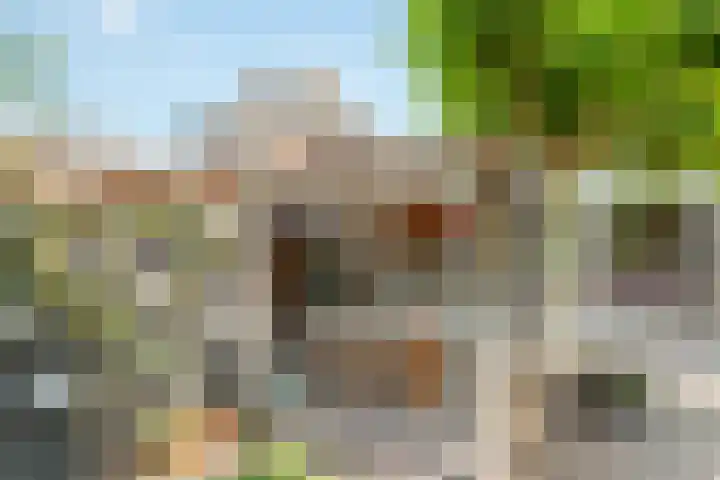Van Reenenpark 5 Nijkerk thumbnail 37