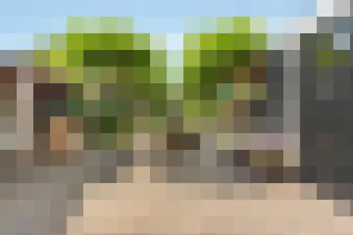 Van Reenenpark 5 Nijkerk thumbnail 4