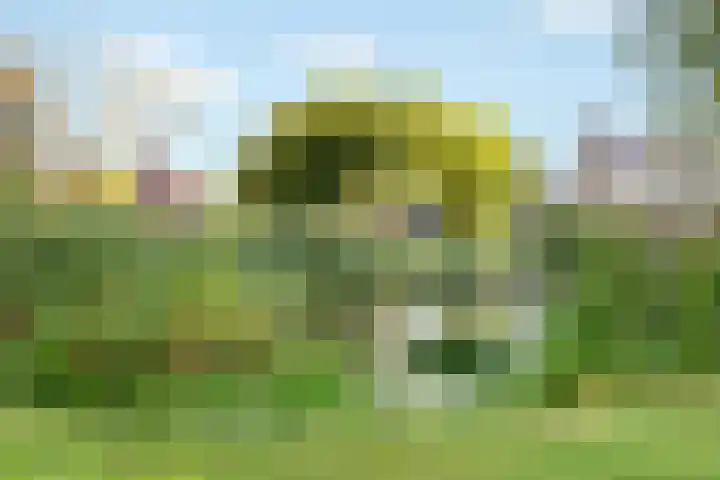 Van Reenenpark 5 Nijkerk thumbnail 42
