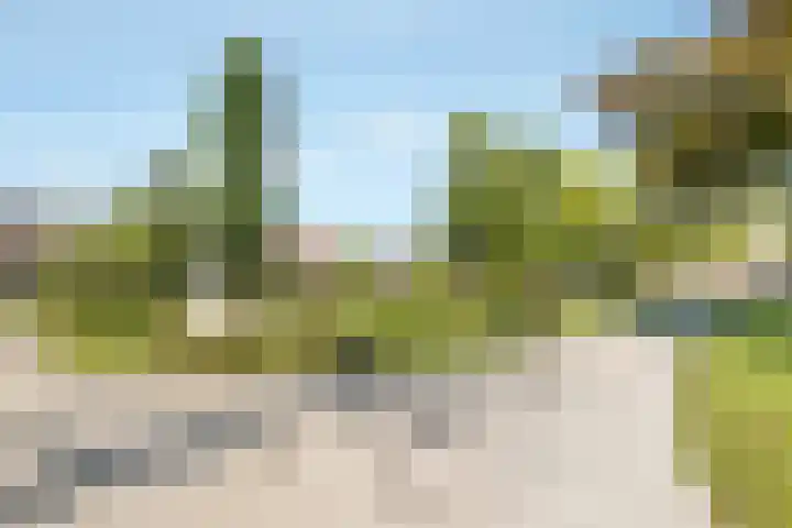 Van Reenenpark 5 Nijkerk thumbnail 44