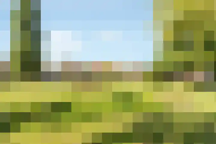 Van Reenenpark 5 Nijkerk thumbnail 45