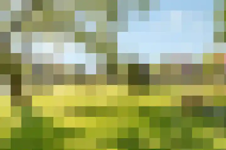 Van Reenenpark 5 Nijkerk thumbnail 46