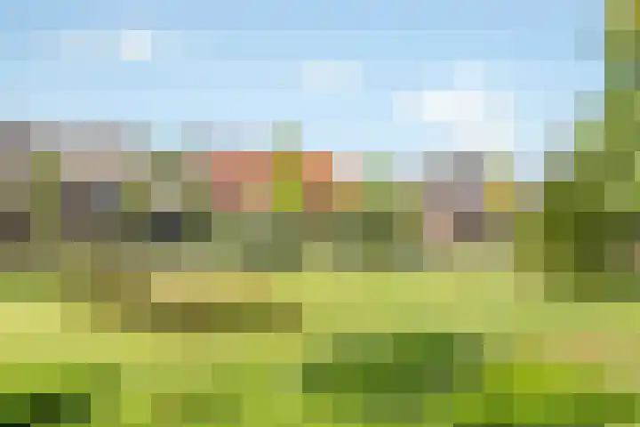 Van Reenenpark 5 Nijkerk thumbnail 47