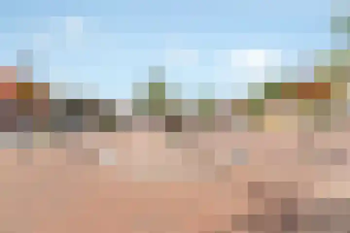 Van Reenenpark 5 Nijkerk thumbnail 48