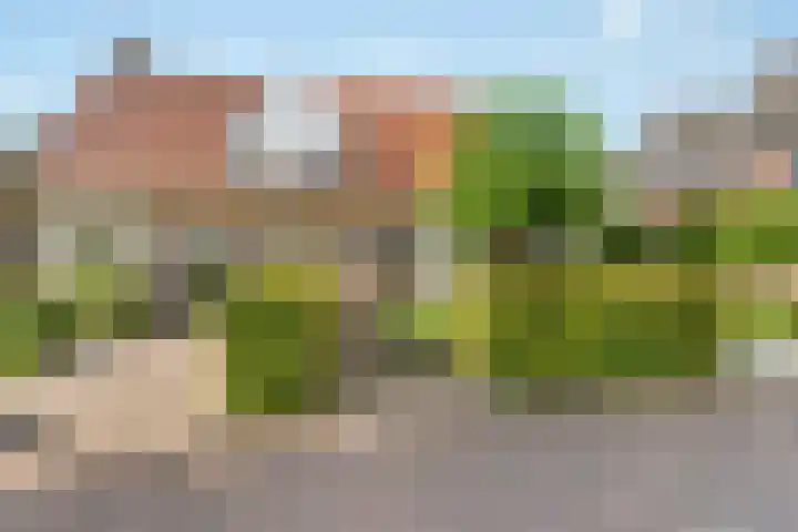 Van Reenenpark 5 Nijkerk thumbnail 5