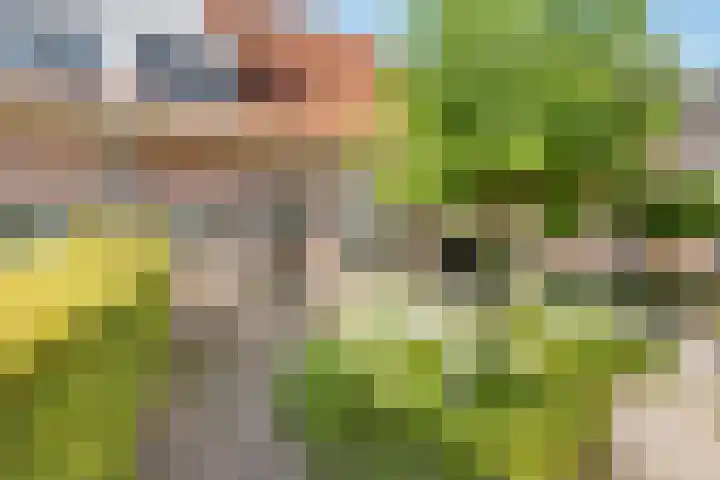 Van Reenenpark 5 Nijkerk thumbnail 6