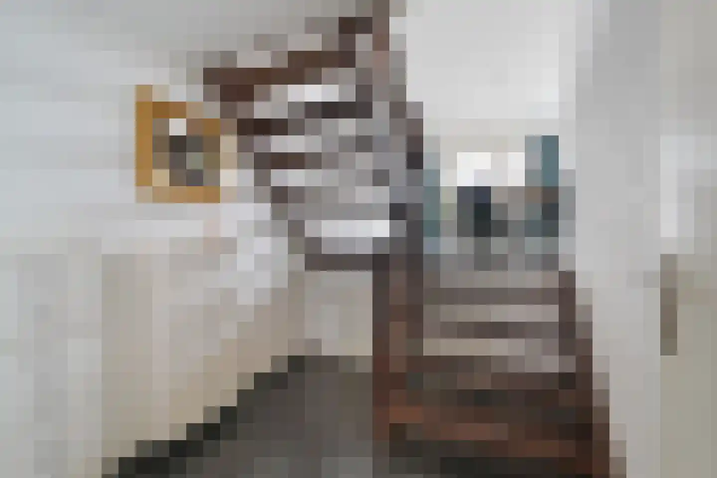 Van Reenenstraat 8 Vlissingen thumbnail 7
