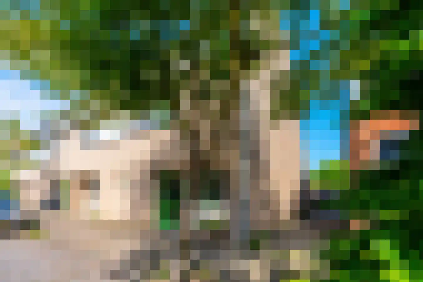 Van Reenenweg 75 A Zeist thumbnail 31