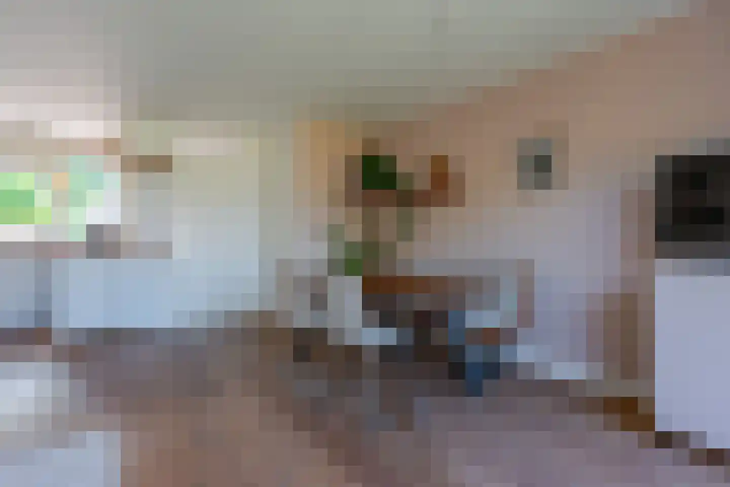 Van Reenenweg 75 A Zeist thumbnail 6