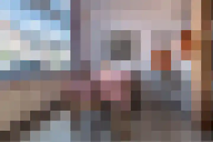 Van Reenenweg 82 Zeist thumbnail 7