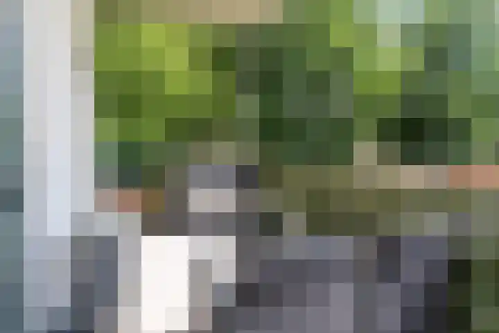 van Reeslaan 77 Nieuwegein thumbnail 14