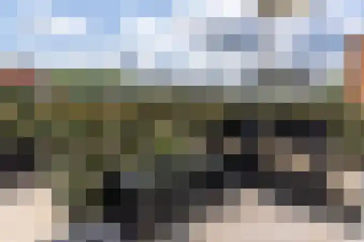 van Reeslaan 77 Nieuwegein thumbnail 15