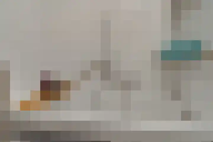 van Reeslaan 77 Nieuwegein thumbnail 20