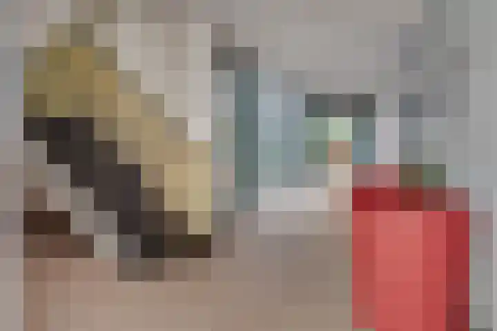 van Reeslaan 77 Nieuwegein thumbnail 21