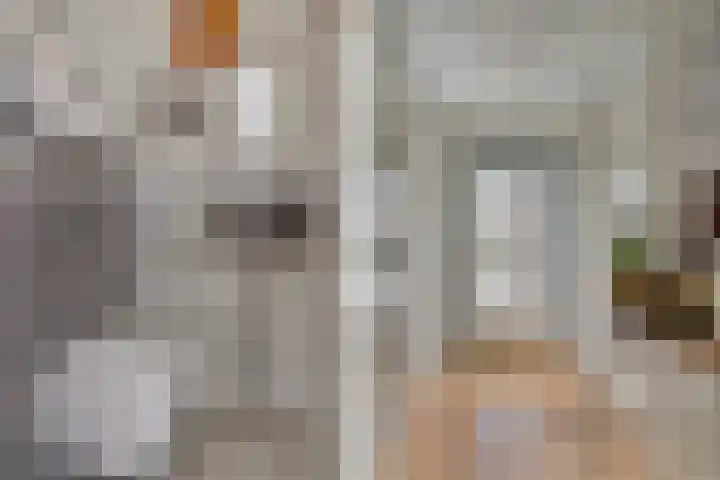 van Reeslaan 77 Nieuwegein thumbnail 5