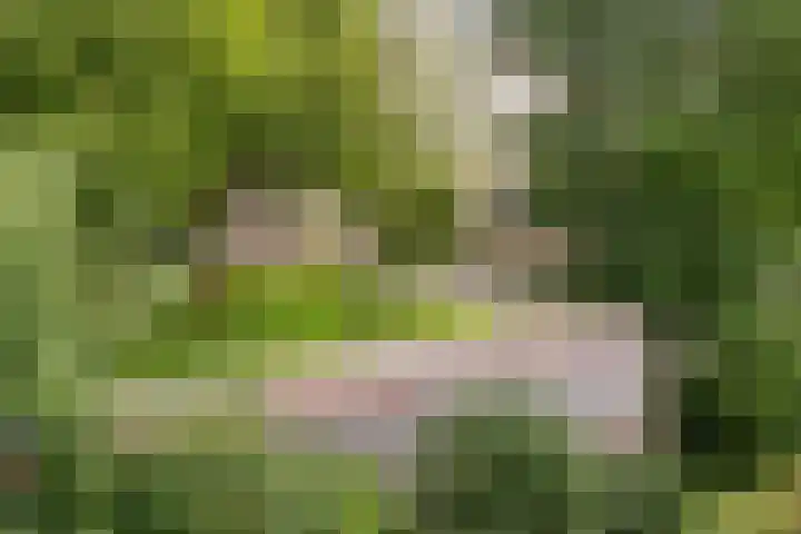 van Reeslaan 77 Nieuwegein thumbnail 7